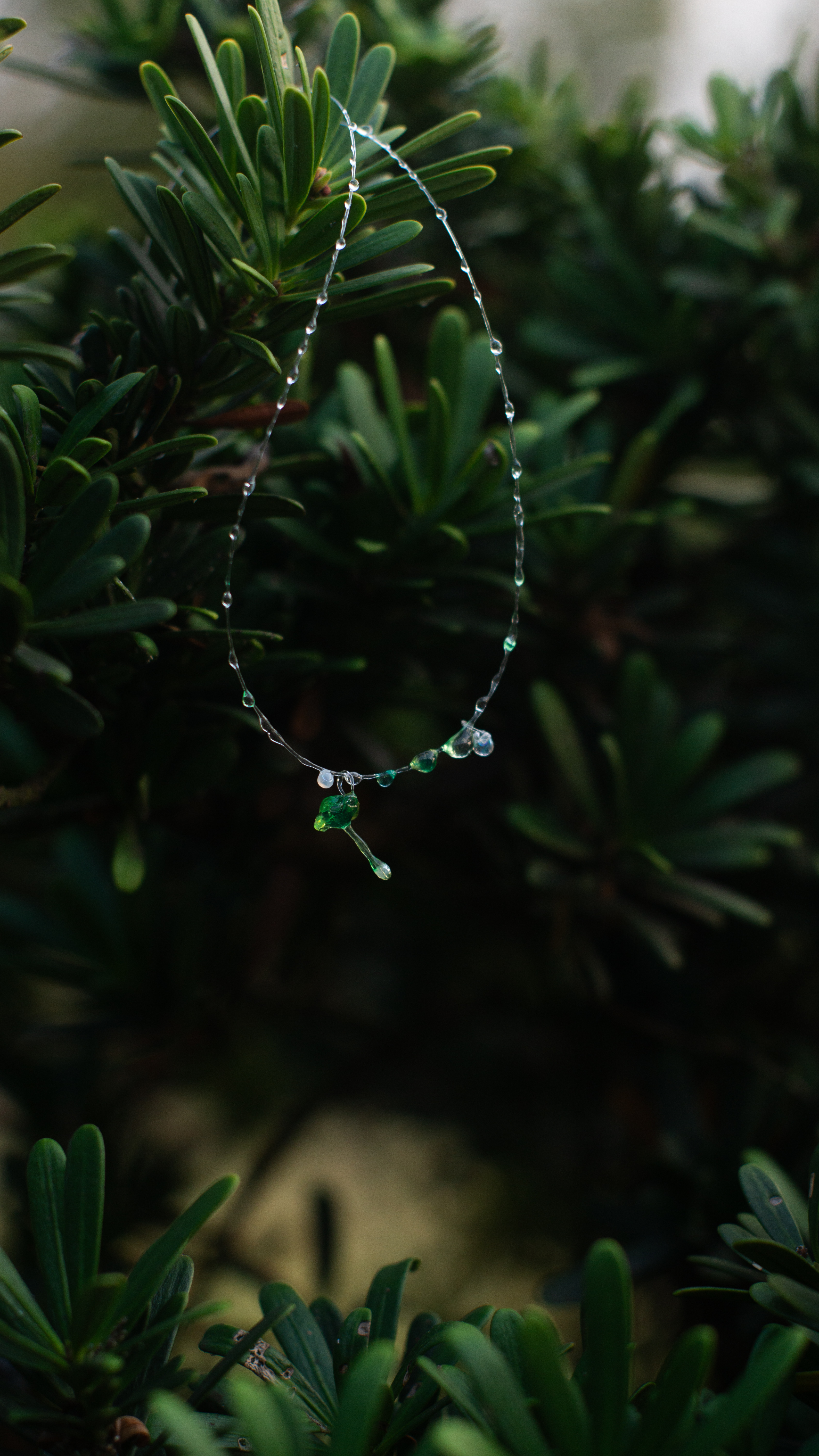 jewelry reflection